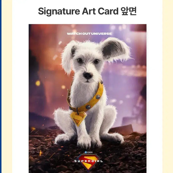 [BUNJANG] Supergirl Art Card / [슈퍼걸] 아트카드