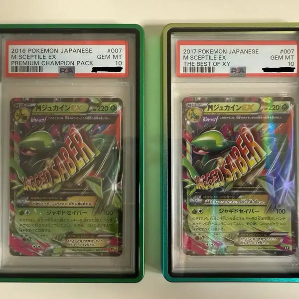[BUNJANG] Pokémon Card Trevenant PSA 10 Bundle Set (Case Included) / 포켓몬카드 나무킹 psa10 (케이스 포함)