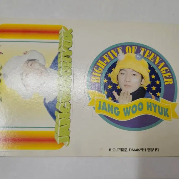 [BUNJANG] H.O.T. Jang Woo Hyuk 90s Retro Stationery Sticker / 가수 그룹 h.o.t 에쵸티 장우혁 90년대 문방구 고전 스티커