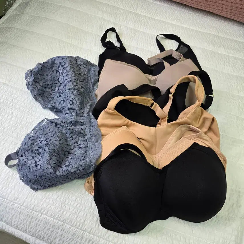 [BUNJANG] Plus Size Bras Bundle Set (7 Items) / 빅사이즈 브라 7종 일괄판매