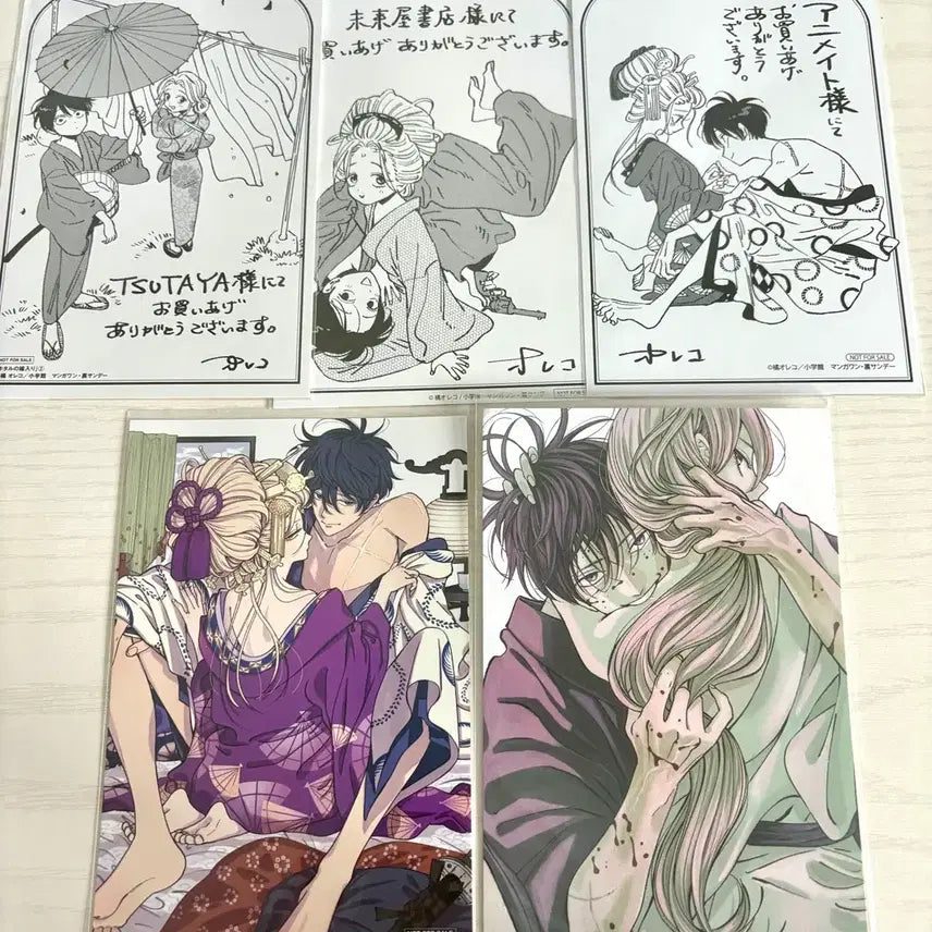 [BUNJANG] Hana no Shiranai Kimi No Koto (The Flower's Unknown You) Animate Special Postcard Kotou Shinpei Satoko / 반딧불이의혼례 애니메이트 특전 엽서 고토신페이 사토코