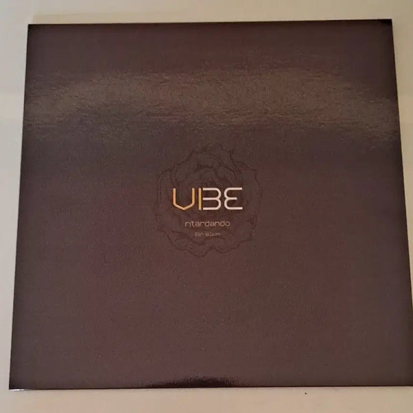 [BUNJANG] Vibe 6th Album Limited Edition LP (Sealed) / 바이브 6집 단순개봉 lp