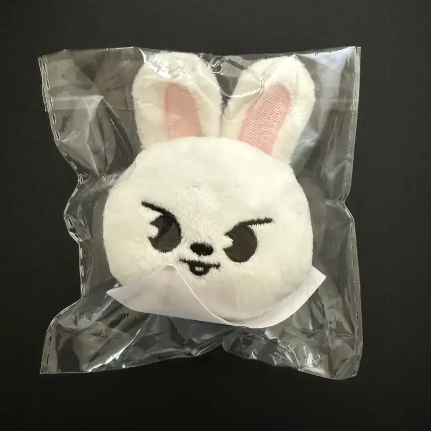[BUNJANG] Stray Kids Lee Know Skzoo Rabbit Nuiigurumi Magnet (Sealed) / 미개봉) 스트레이키즈 리노 스키주 리빗 누이구루미 마그넷