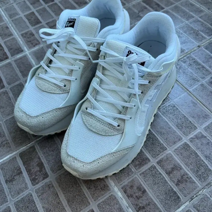 [BUNJANG] Onitsuka Tiger Mexico 66 CO White / 오니츠카 타이거 모아지 CO 화이트 250