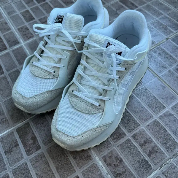 [BUNJANG] Onitsuka Tiger Mexico 66 CO White / 오니츠카 타이거 모아지 CO 화이트 250