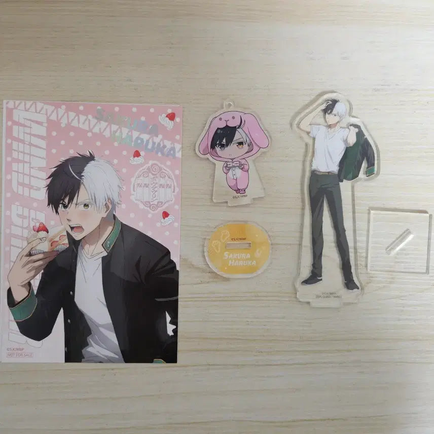 [BUNJANG] Winbre Sakura Acrylic Standee & Postcard Bundle Set / 윈브레 사쿠라 아크릴+엽서 일괄