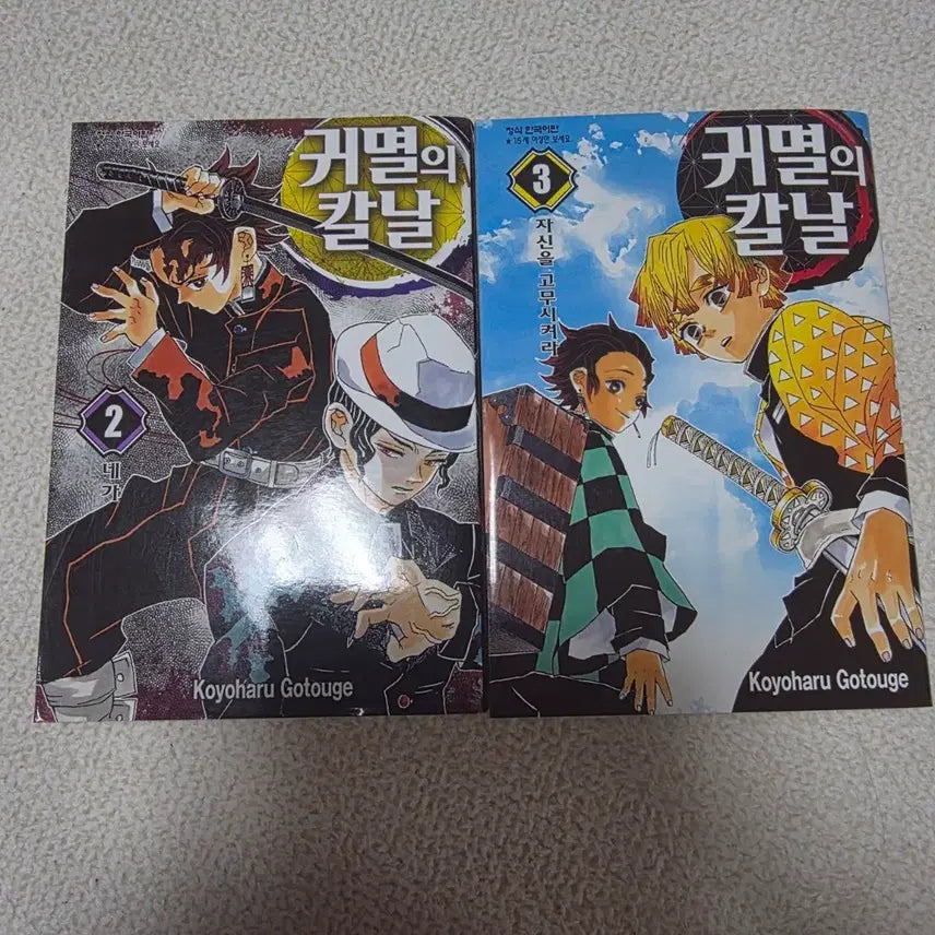 [BUNJANG] Demon Slayer: Kimetsu no Yaiba Volumes 2, 3, 19 (First Edition, Unsealed) / (초판/개봉) 귀멸의 칼날 2, 3, 19