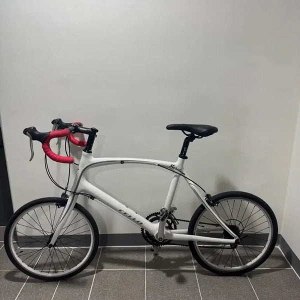[BUNJANG] Cello Meridian Carbon Road Bike / 첼로 메리디안