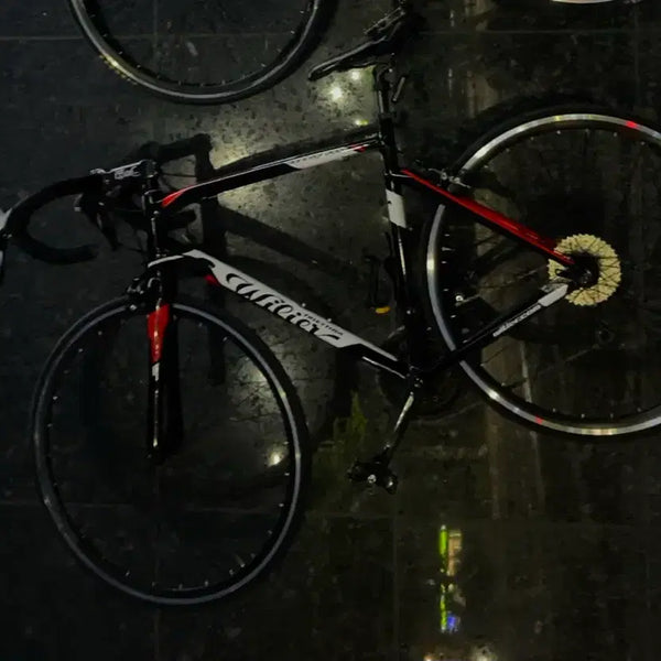 [BUNJANG] Wilier Montegrappa 105 (2017) Carbon Fork / [판매대차]급처 윌리어 몬테그라파 풀 105 (2017년식) 상태 굿