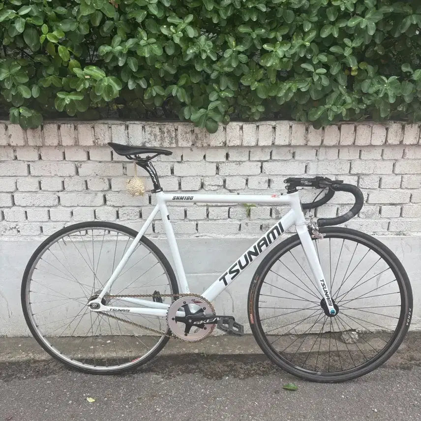 [BUNJANG] Tsunami L Size "Tsunami" Track Bicycle / 쓰나미 L 판/대 급처