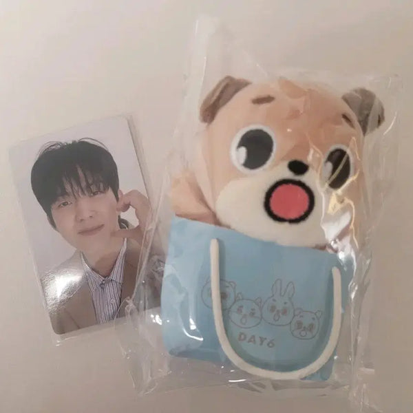 [BUNJANG] Day6 Japan MD Baekchan & Dowoon Photocard / 데이식스 일본 엠디 백참 돈 + 도운 포카