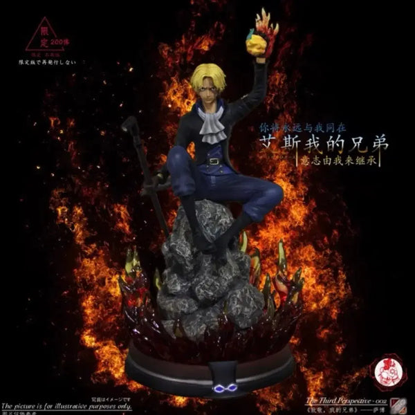 [BUNJANG] Siz Sabo One Piece Resin Figure / siz사보 레진 원피스 피규어
