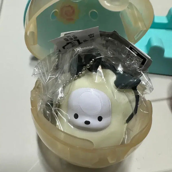 [BUNJANG] Sanrio Pochacco Oyster Squishy Gacha Keychain / 산리오 포차코 굴 스퀴시 가챠