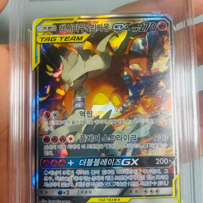 [BUNJANG] Pokemon Card Reshiram & Charizard GX Special Art / 포켓몬카드 레시라무&리자몽 GX특일