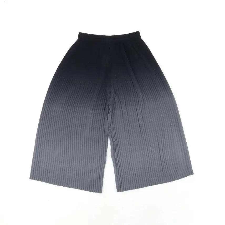 [BUNJANG] YOITSU Pleated Gradient Pants (M/L) / [M/L]요이츠 플리츠 그라데이션 팬츠