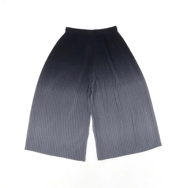 [BUNJANG] YOITSU Pleated Gradient Pants (M/L) / [M/L]요이츠 플리츠 그라데이션 팬츠