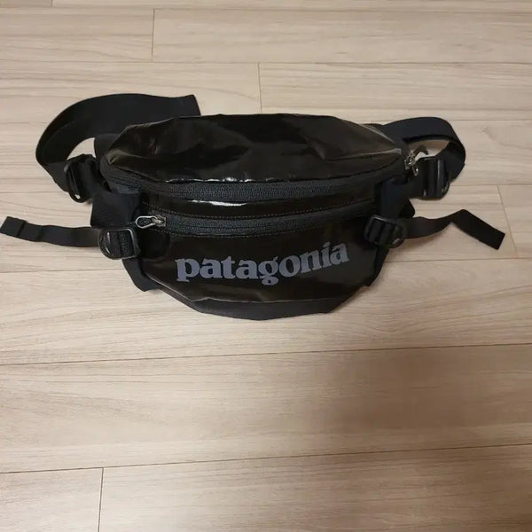 [BUNJANG] Patagonia Black Hip Pack Waist Bag Sling Bag / 파타고니아 힙색 웨이스트백 슬링백 블랙 가방