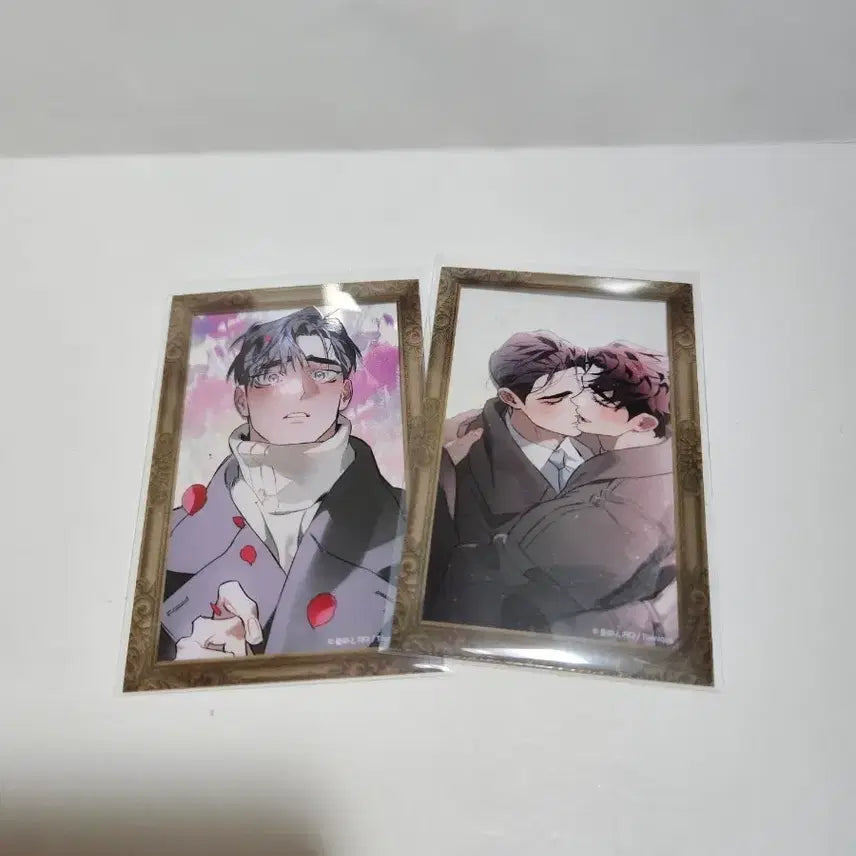 [BUNJANG] Toonique DTR Clear Photocard Bundle Set / 투니크 디티알 DTR 클리어 포토카드 포카 2장 일괄
