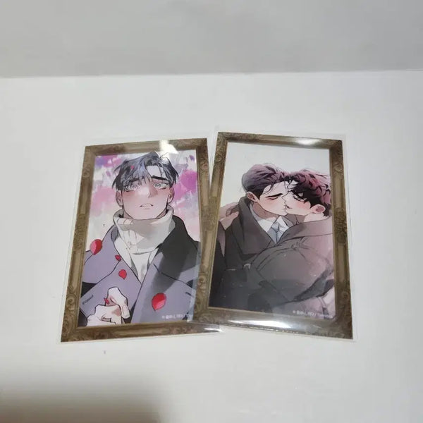 [BUNJANG] Toonique DTR Clear Photocard Bundle Set / 투니크 디티알 DTR 클리어 포토카드 포카 2장 일괄