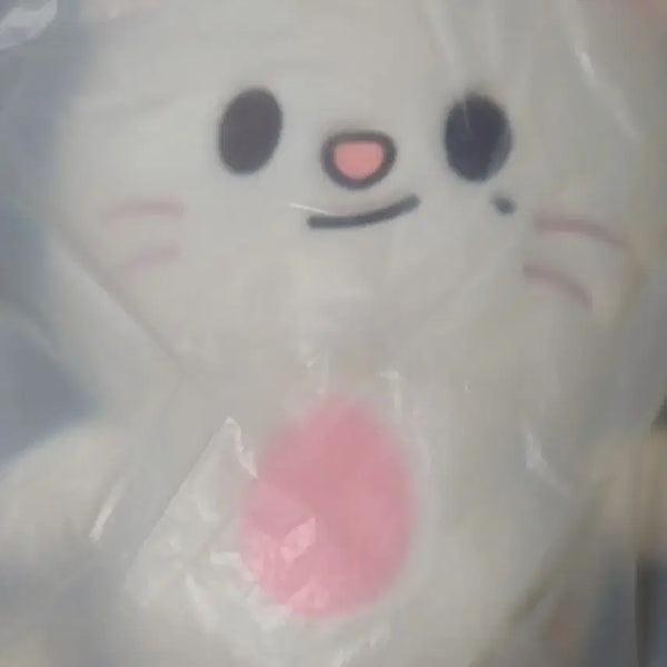 [BUNJANG] Stray Kids SKZOO Plush Backpack Jiniret / 스트레이키즈 스키주 플러쉬 백팩 지니렛