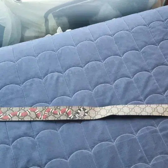 [BUNJANG] Gucci Snake Belt / 구찌 스네이크 벨트