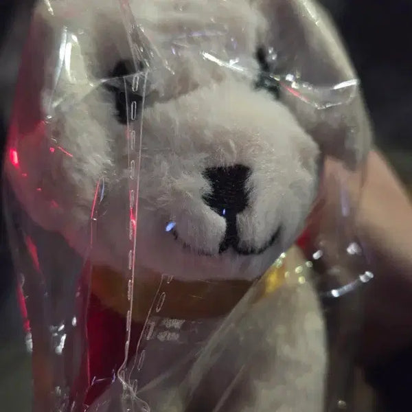 [BUNJANG] Supergirl Crypto Chupchu Dog Keychain / 슈퍼걸 크립토 챱츄 강아지 키링