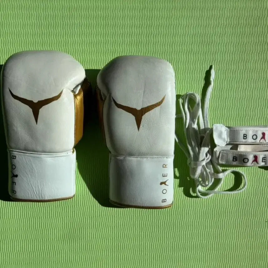[BUNJANG] Twisco Boxing Gloves 504 with Strap Converter / 복싱 글러브 투이스코 504 + 스트랩 컨버터 팝니다