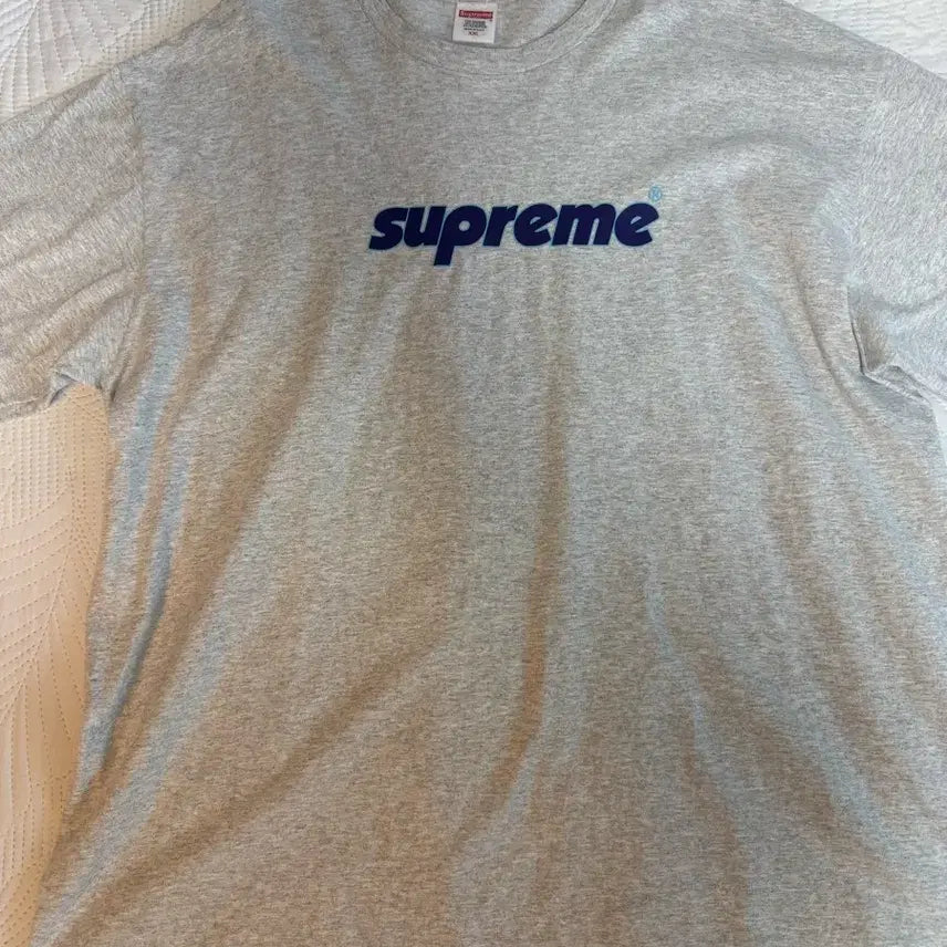 [BUNJANG] Supreme Pinline T-shirt Ash Grey 24SS / [XXL] [XXL] 슈프림 핀라인 티셔츠 애쉬 그레이 - 24SS