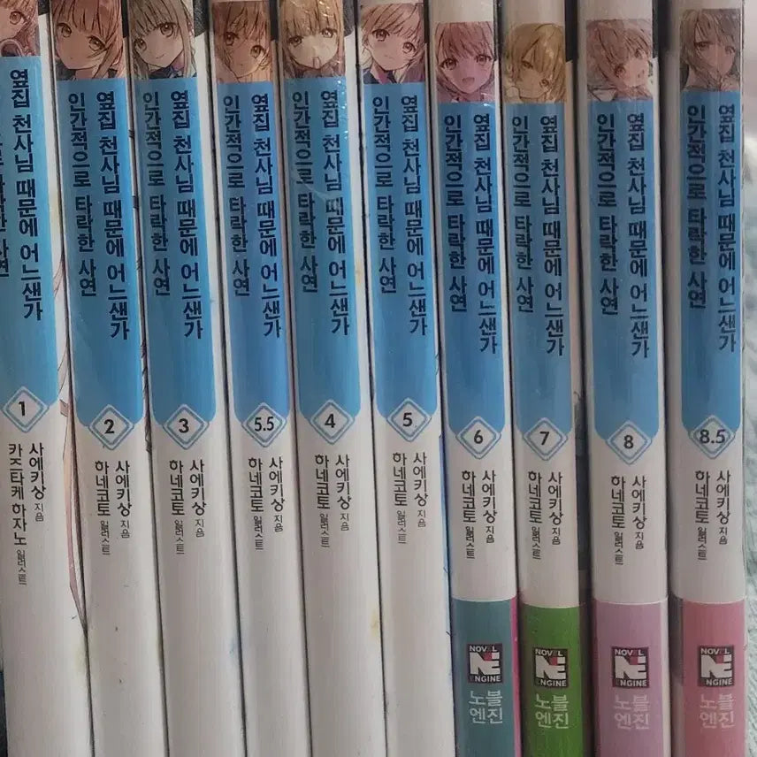 [BUNJANG] Free Light Novel Giveaway (Conditional) / 라이트 노벨 무료 나눔 합니다 (조건부)
