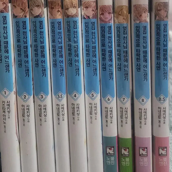 [BUNJANG] Free Light Novel Giveaway (Conditional) / 라이트 노벨 무료 나눔 합니다 (조건부)