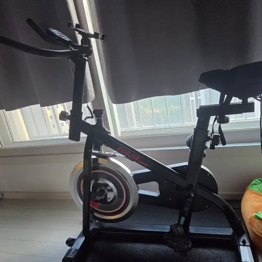 [BUNJANG] Igojin 150S Spinning Indoor Bike / 이고진 150S 스피닝 실내 자전거