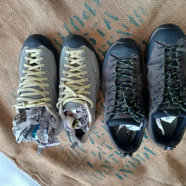 [BUNJANG] Scarpa Mojito Fresh Hiking Shoes / 스카르파 MOJITO. MOJITO FRESH