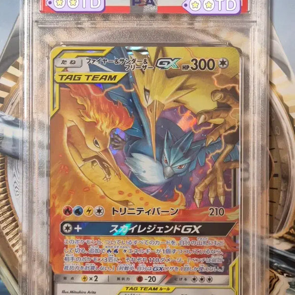 [BUNJANG] Pokemon Card Sky Legend 2019 Japanese Fire & Thunder & Freezy RR PSA 10 / 포켓몬카드 PSA10 등급카드 2019 일본판 파썬프 RR