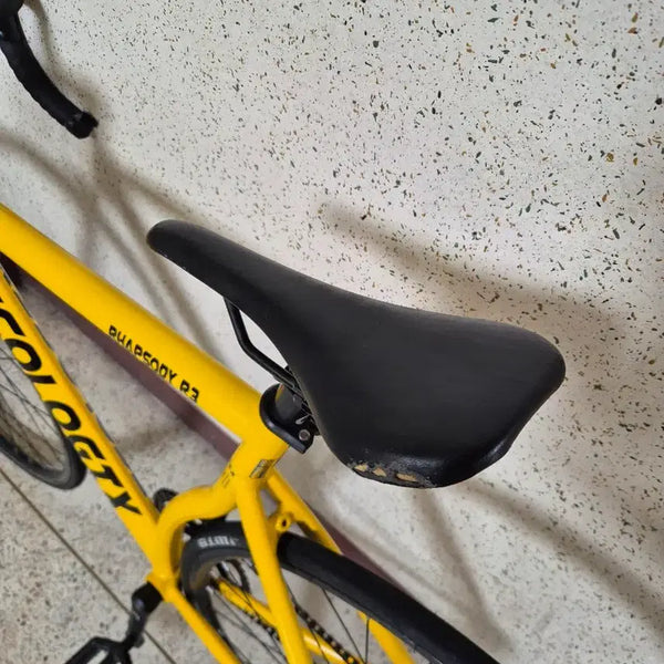 [BUNJANG] Ecolocics Rhapsody R3 Pixie Bicycle / 에콜로직스 랩소디 R3 픽시자전거