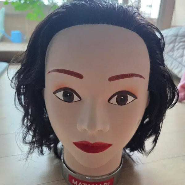 [BUNJANG] Matahari Layered Full Wig / 마타하리 레이어통가발