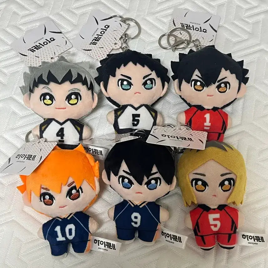 [BUNJANG] Haikyu!! Character Keychain Set / [새상픔] 하이큐!! 캐릭터 키링 세트