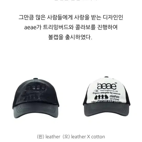 [BUNJANG] Aeae & Treemingbird Web Logo Cotton Mesh Cap / aeae & 트리밍버드 Web Logo Mesh Cap 코튼 볼캡
