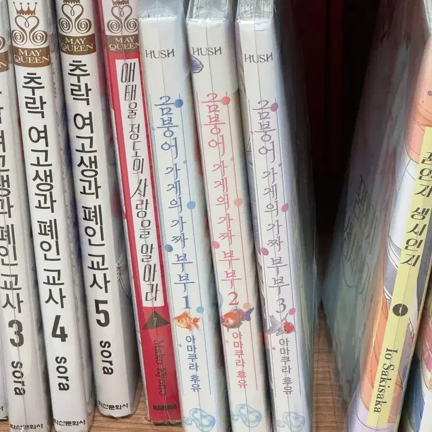 [BUNJANG] The Goldfish Shop's Fake Couple Vol. 1-3 Set / 금붕어 가게의 가짜 부부 1-3권 세트