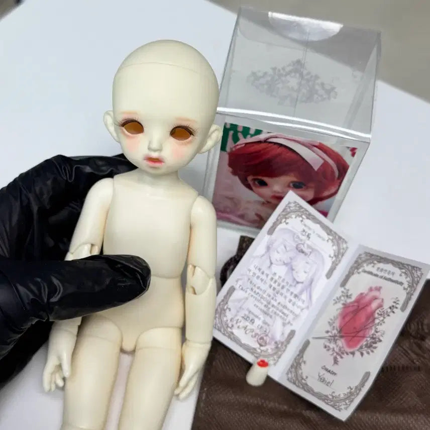 [BUNJANG] Napidoll Carol USD Ball-Jointed Doll Body / 구관 나피돌 캐롤 루츠 바디 usd 구체관절인형