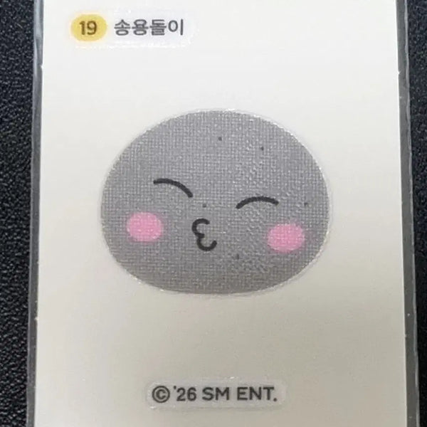 [BUNJANG] Little Friends 띠부씰 Songyongdori 19 Sticker / [리틀라이즈 띠부씰] 송용돌이 19 스티커/띠부실