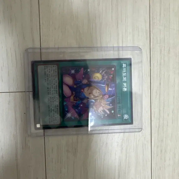 [BUNJANG] Black Magician Girl "Curtain Chic" Card / 흑마도의 커튼 시크