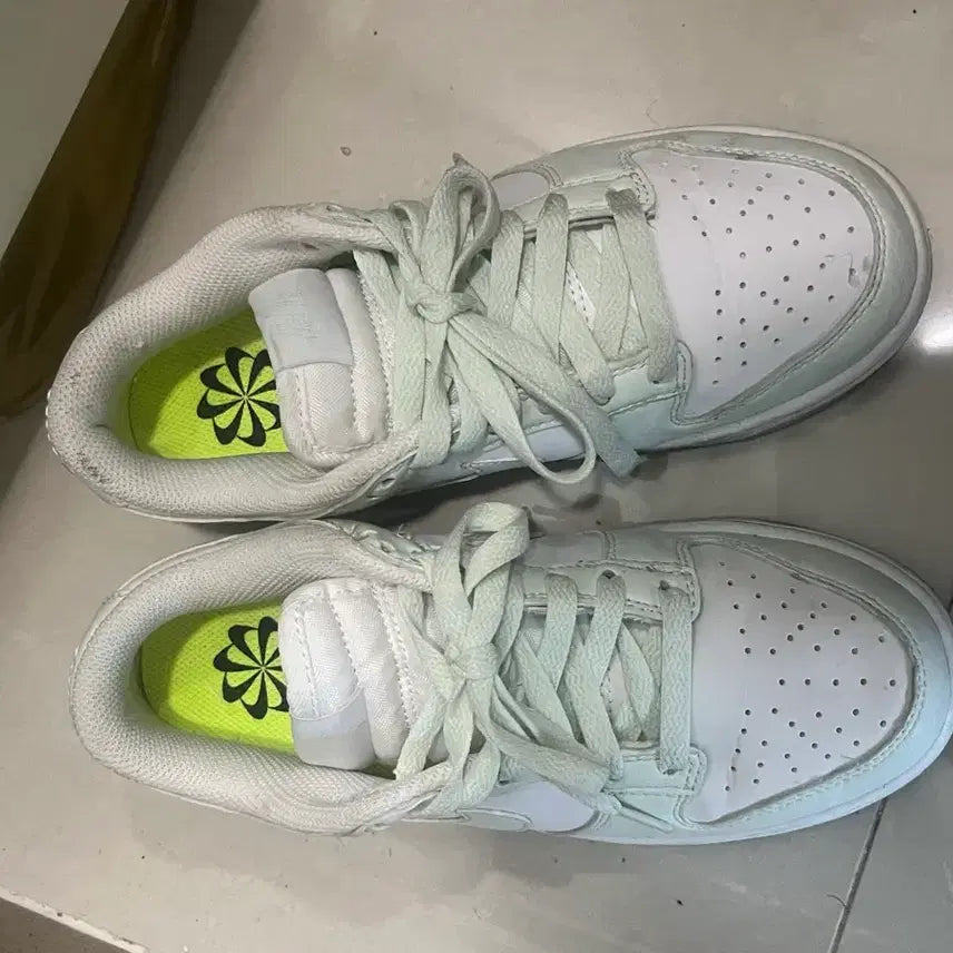[BUNJANG] Nike Dunk Low Green / 나이키 덩크로우 그린 230 택포