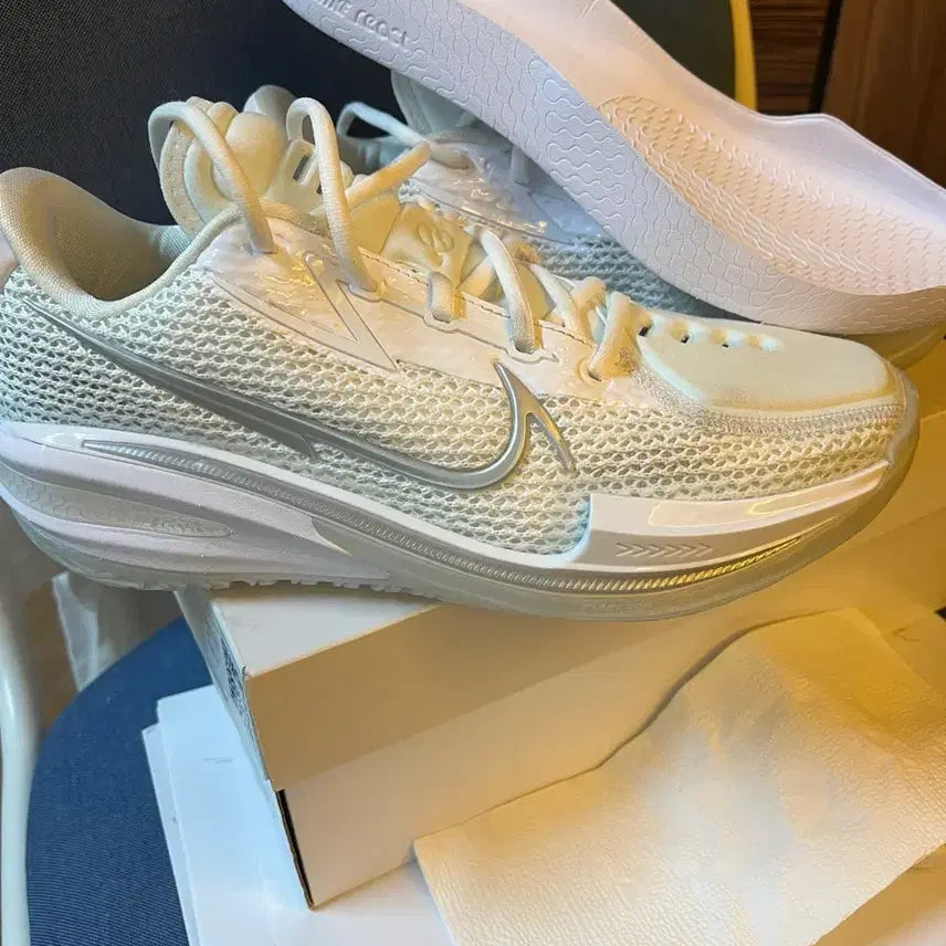 [BUNJANG] GT CUT 1 White Chrome Sneakers (Exchange) / 지티컷1 화이트크롬 255->250으로 교환합니다