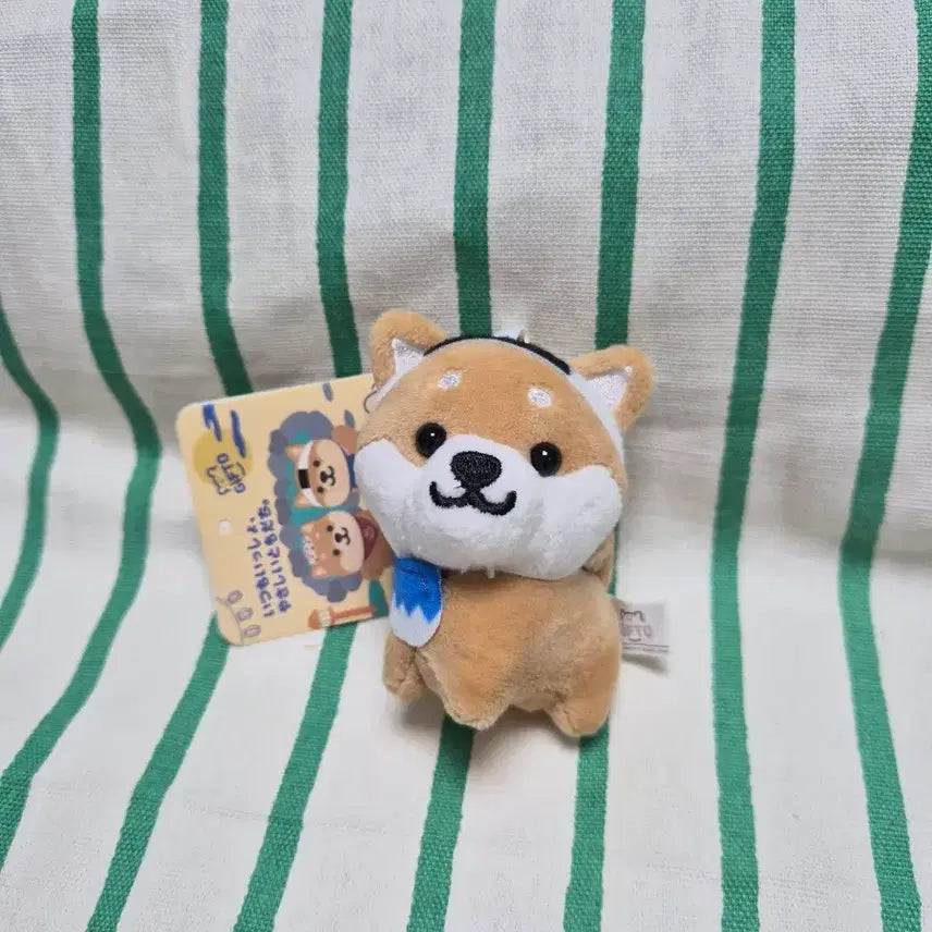 [BUNJANG] Onsen Shiba-chan Doll Keyring / 온센 시바짱 인형키링