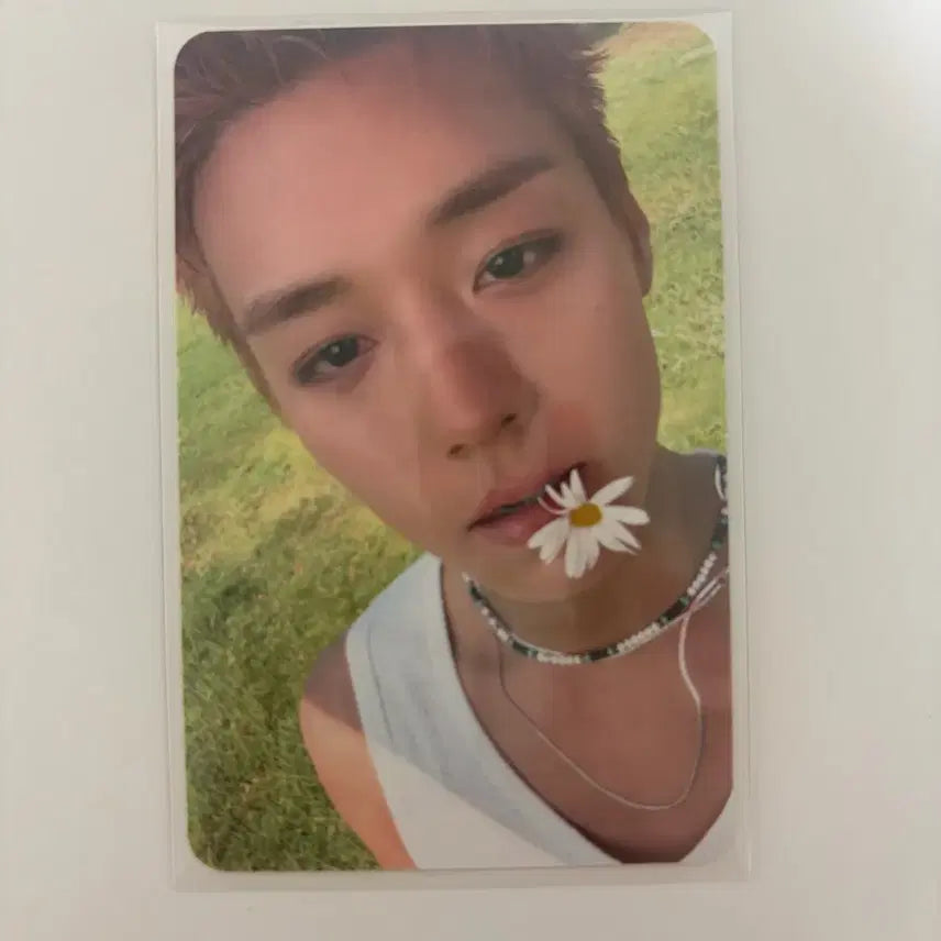 [BUNJANG] Park Jihoon Reflect Pop-up Photocard / 박지훈 리플렉트 팝업 포카 양도