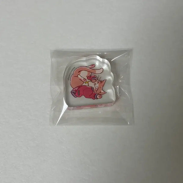 [BUNJANG] Paralight Paralabo Leo Acrylic Corotto / 파라라이 파라네코 레오 아크릴 코롯토