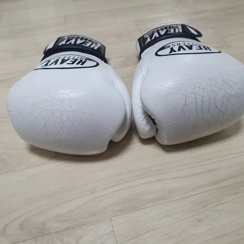 [BUNJANG] Heavy Hitter Boxing Gloves 10oz H6 / 헤비히터 복싱 글러브 10온스 H6