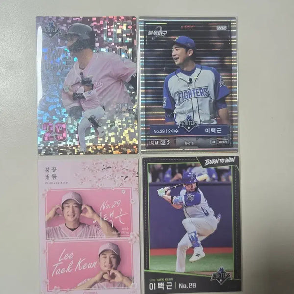 [BUNJANG] Fire Baseball Cards Season 2 Kiwoom Heroes Lee Taek-geun / 불꽃야구 카드 시즌2 키움히어로즈 이택근