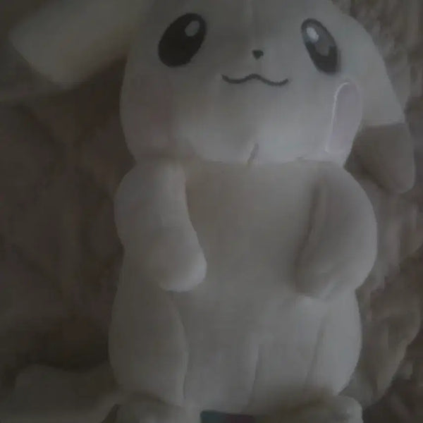 [BUNJANG] Pokemon Pocofia Palechu Plush / 포켓몬스터 포코피아 창백카츄 인형 일포센