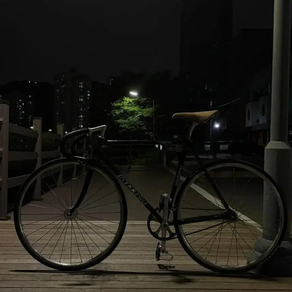 [BUNJANG] Interpro Columbus Tubing Fixed Gear Bicycle / 경륜 픽시 인터프로 콜럼버스 튜빙 픽시 판매 가격 조정 가능